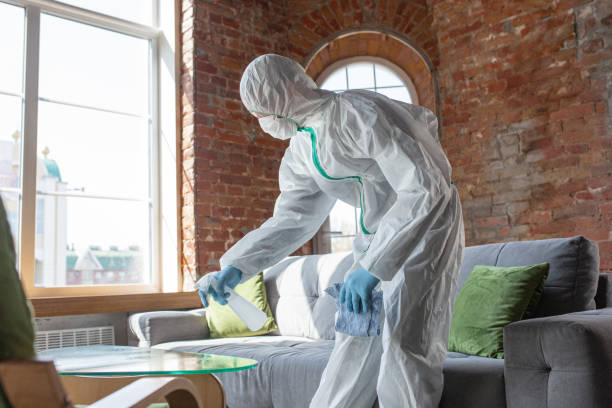 Reliable Fayette, IA Mold Removal Services Solutions